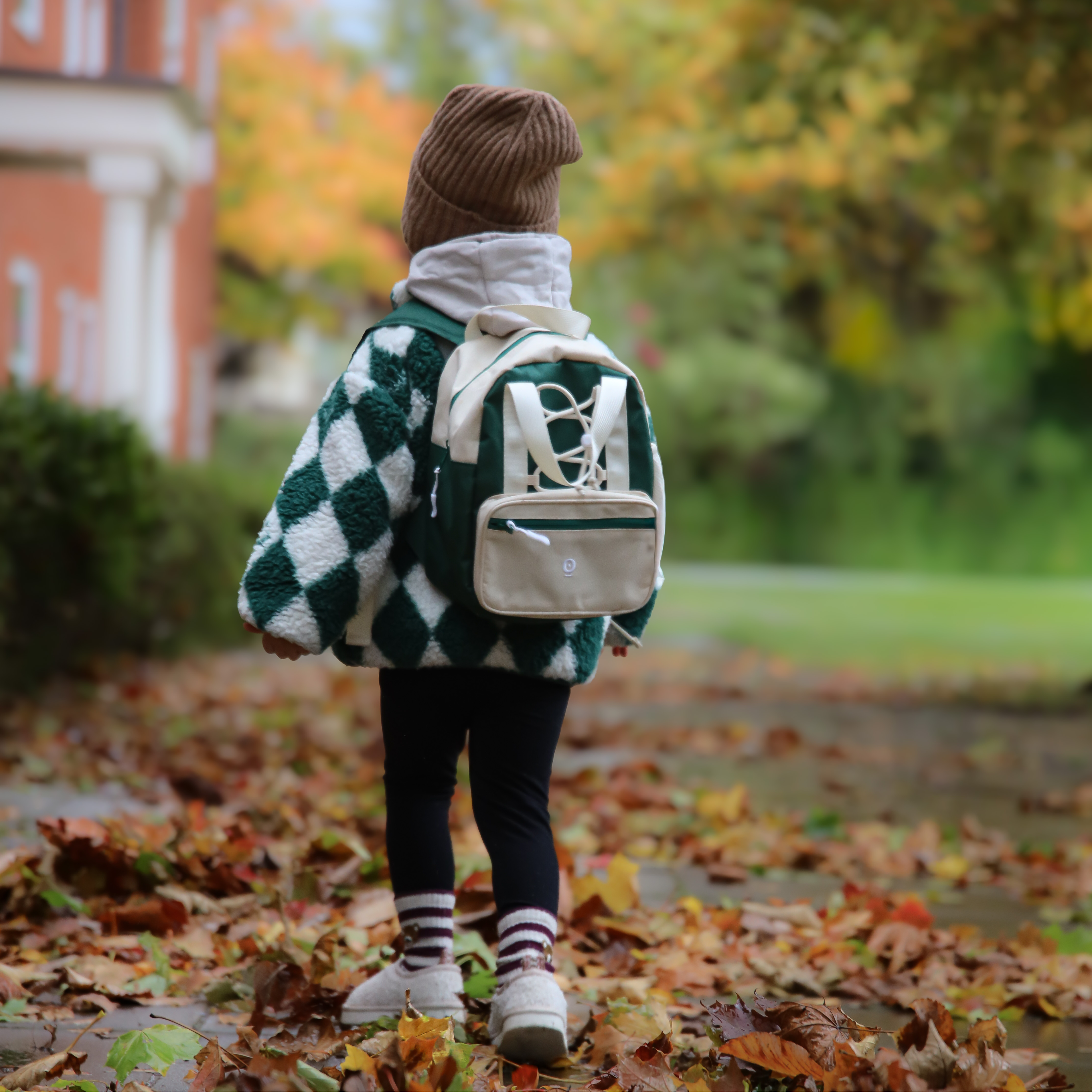 Discover Backpack