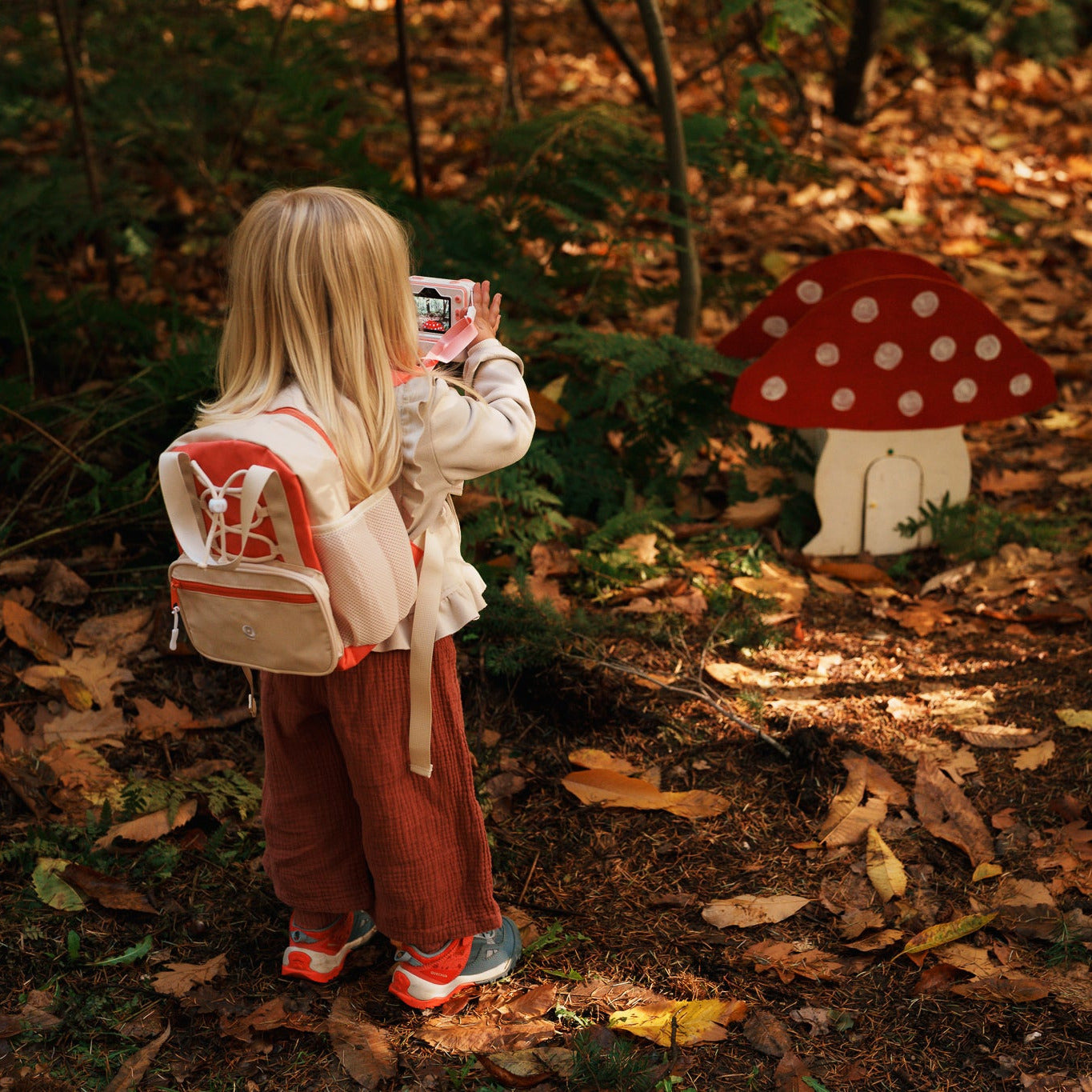 Discover Backpack