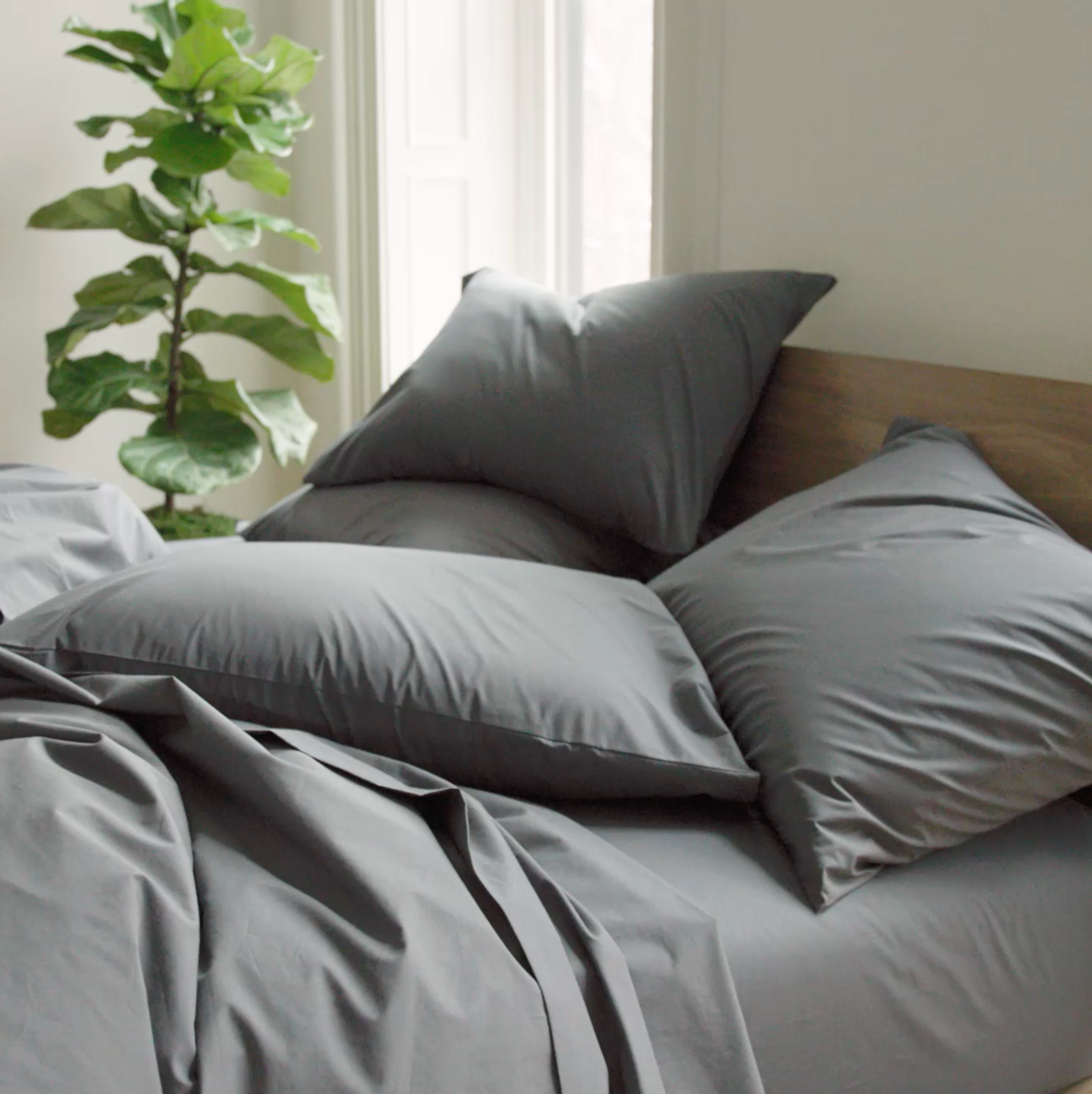 Classic Percale Pillowcase Set