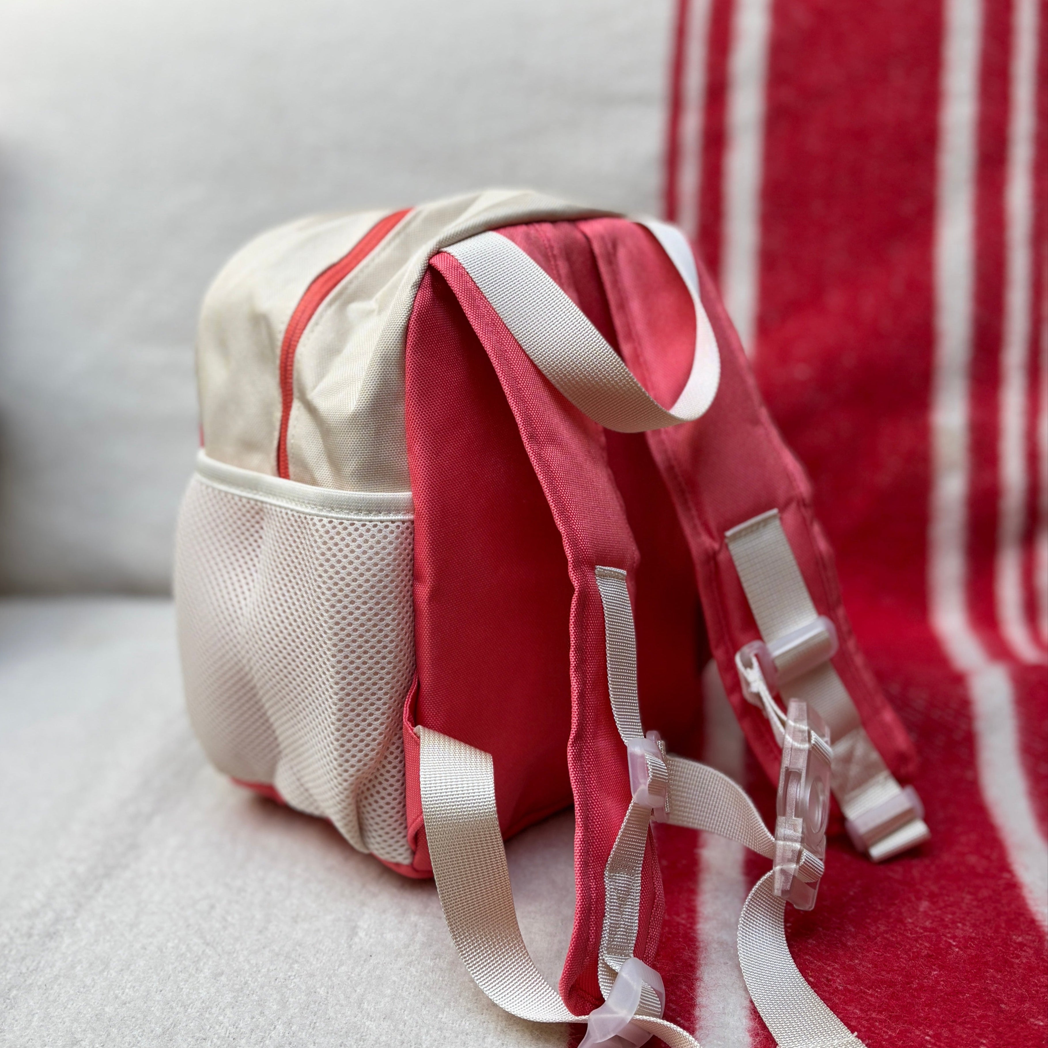 Discover Backpack