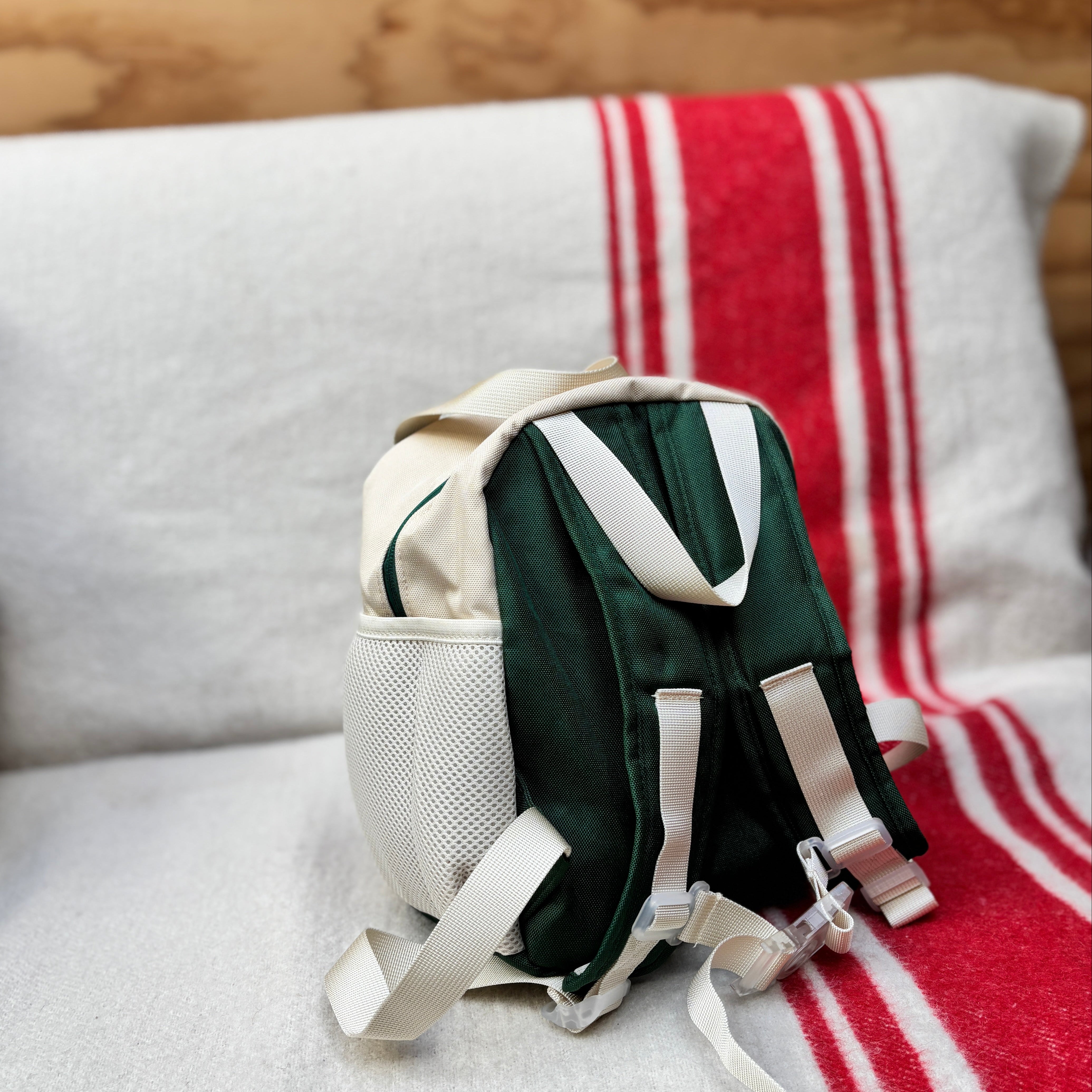 Discover Backpack